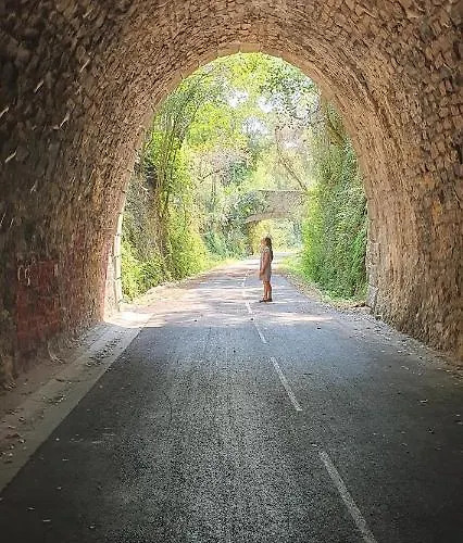 En Bois Independant Avec Terrasse Et Jardin Chalet Villevieille